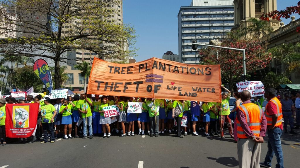 Civil society and CSAP march in the streets